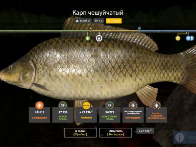 Trophy The Amber Lake