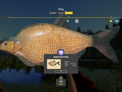 Trophy Old Burg Lake