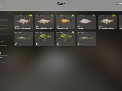 Trophy Mosquito Lake