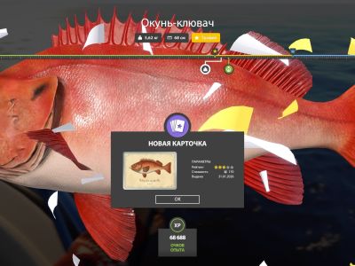 Trophy Norwegian Sea