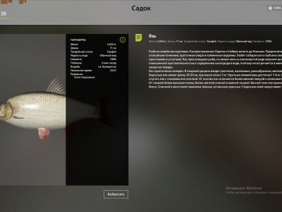 Trophy Mosquito Lake