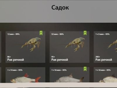 Trophy Seversky Donets River