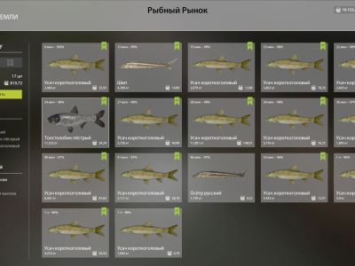 Trophy Akhtuba River