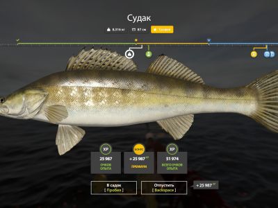 Trophy Ladoga archipelago