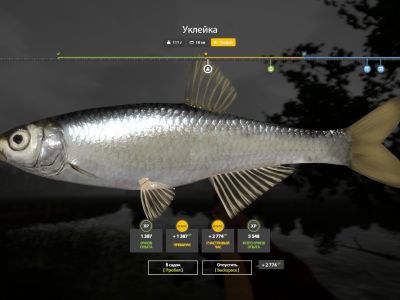 Trophy Mosquito Lake