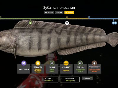 Trophy Norwegian Sea