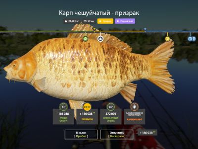 Trophy The Amber Lake