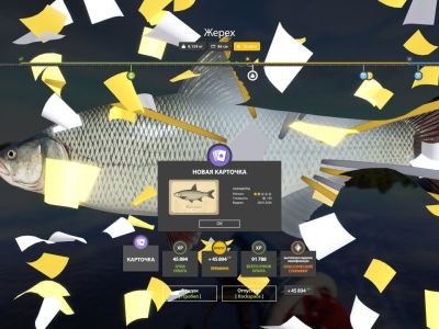 Trophy Volkhov River