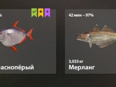 Trophy Norwegian Sea