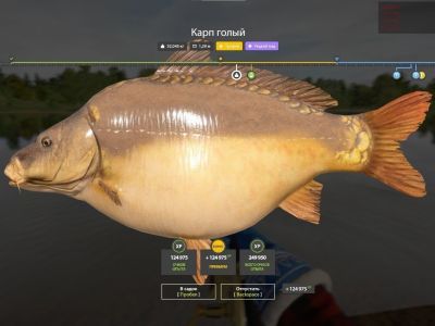 Trophy The Amber Lake