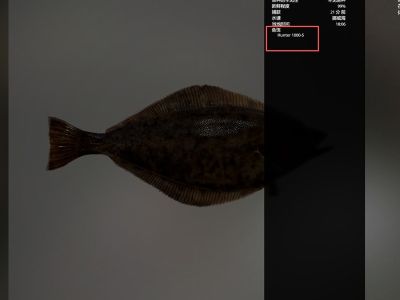 Trophy Norwegian Sea