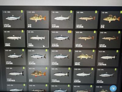 Trophy Ladoga archipelago