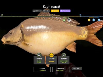 Trophy The Amber Lake