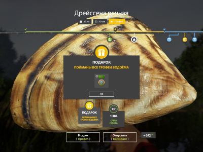 Trophy Winding Rivulet