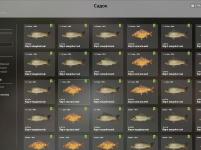 Trophy The Amber Lake