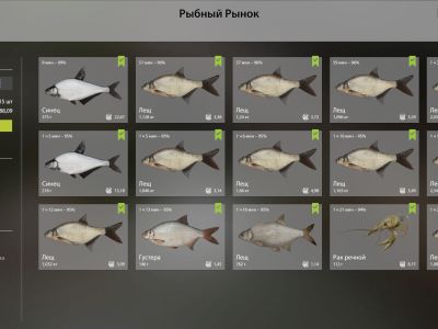 Trophy Winding Rivulet