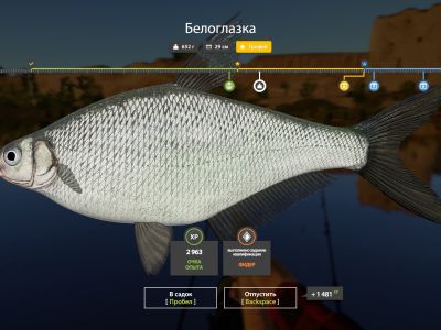 Trophy Volkhov River