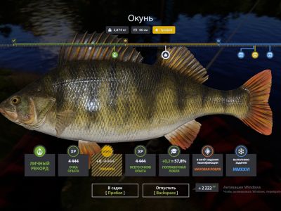 Trophy Mosquito Lake