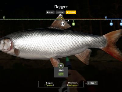 Trophy Winding Rivulet