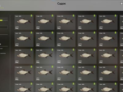 Trophy Old Burg Lake