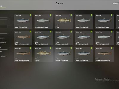 Trophy Ladoga archipelago