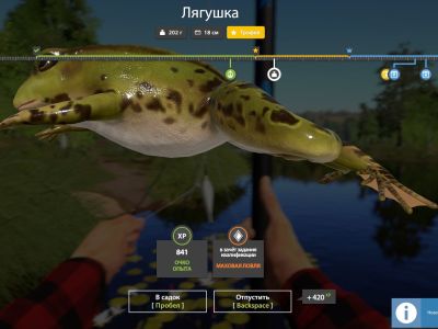 Trophy Mosquito Lake