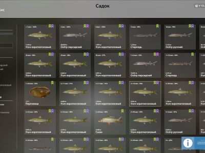 Trophy Akhtuba River