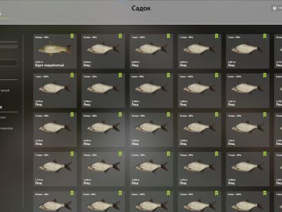 Trophy Old Burg Lake