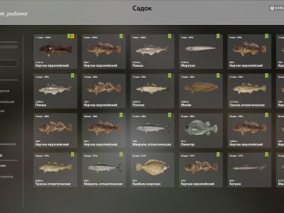 Trophy Norwegian Sea