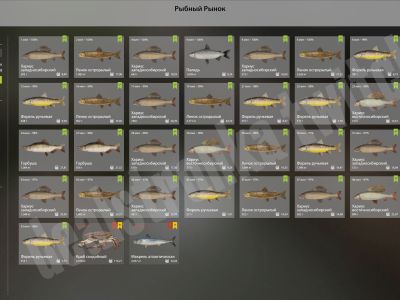 Trophy Lower Tunguska River