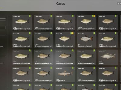 Trophy Akhtuba River