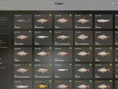 Trophy Seversky Donets River