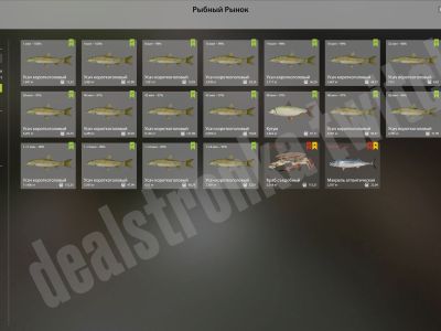 Trophy Akhtuba River