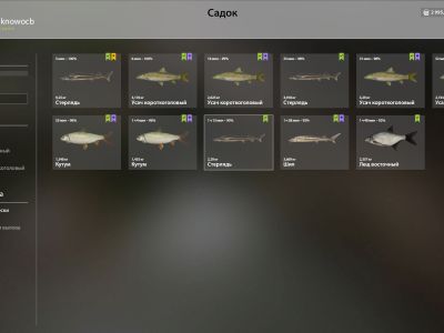 Trophy Akhtuba River