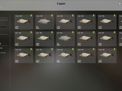 Trophy Old Burg Lake