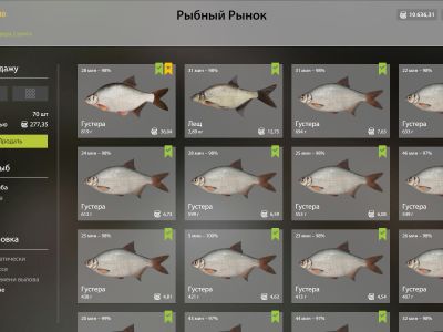 Trophy Old Burg Lake