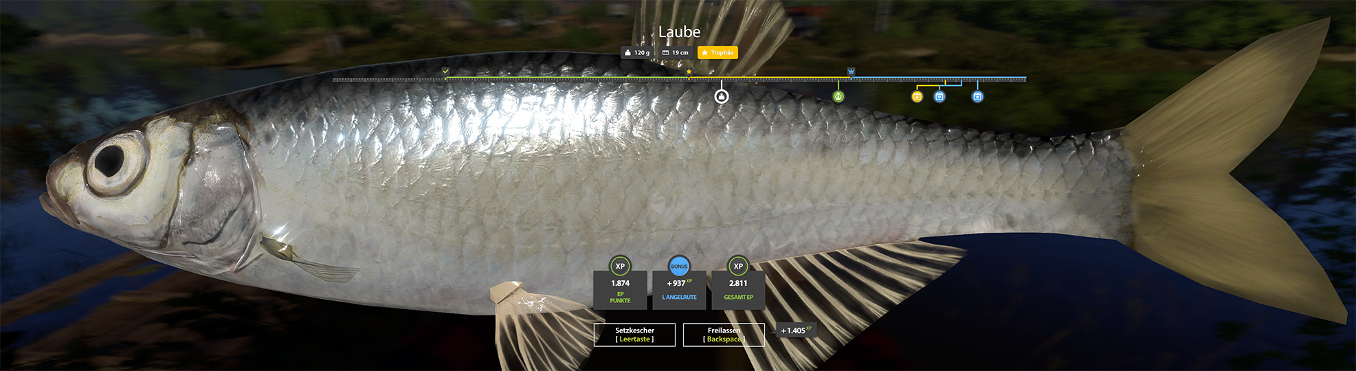 Trophy Winding Rivulet