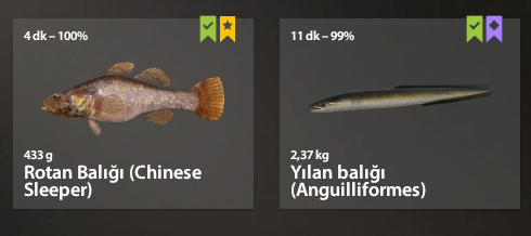 Trophy Old Burg Lake