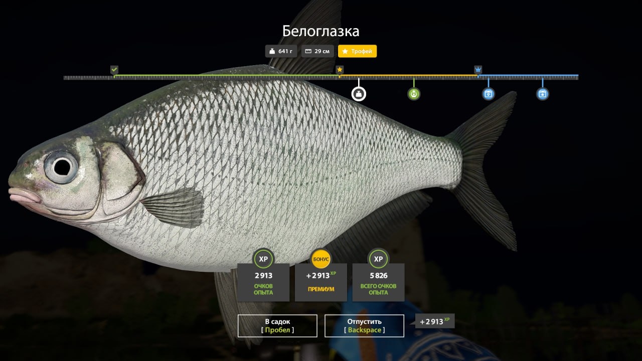 Trophy Volkhov River