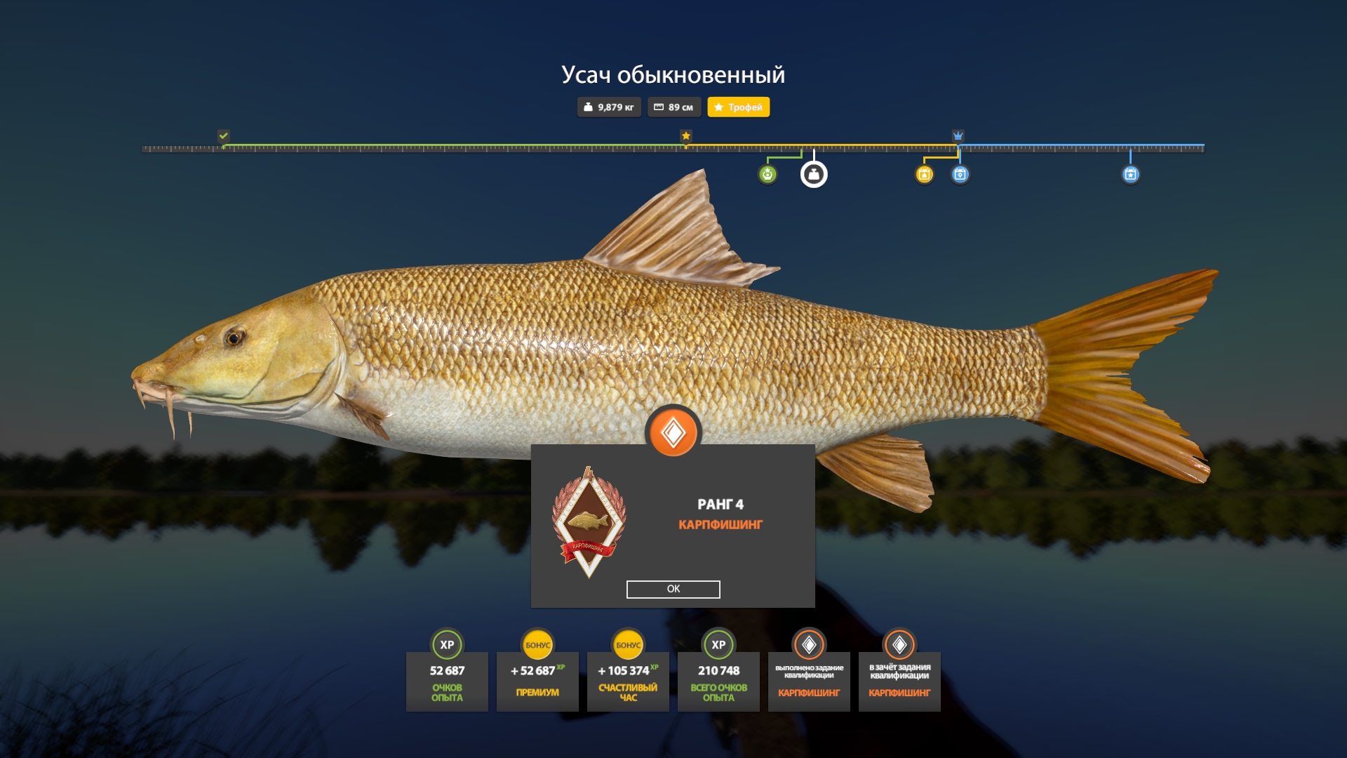 Trophy The Amber Lake