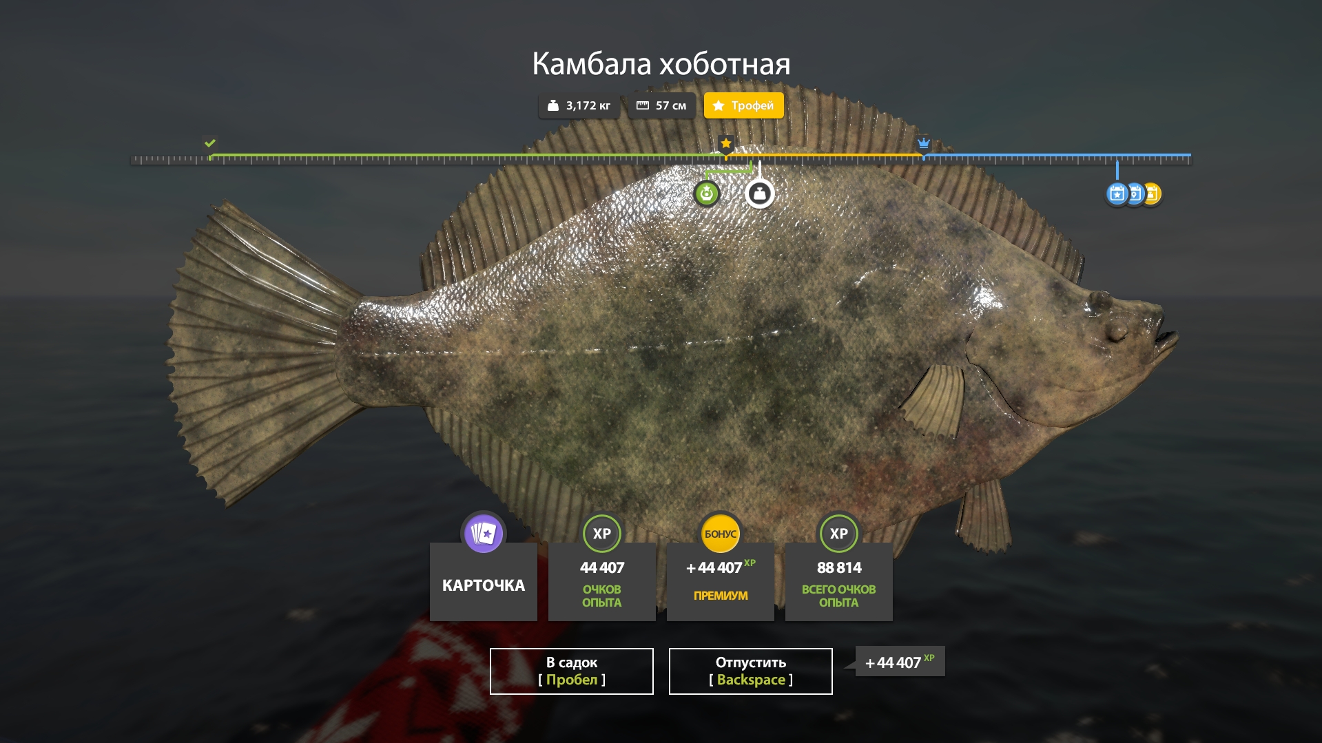 Trophy Norwegian Sea