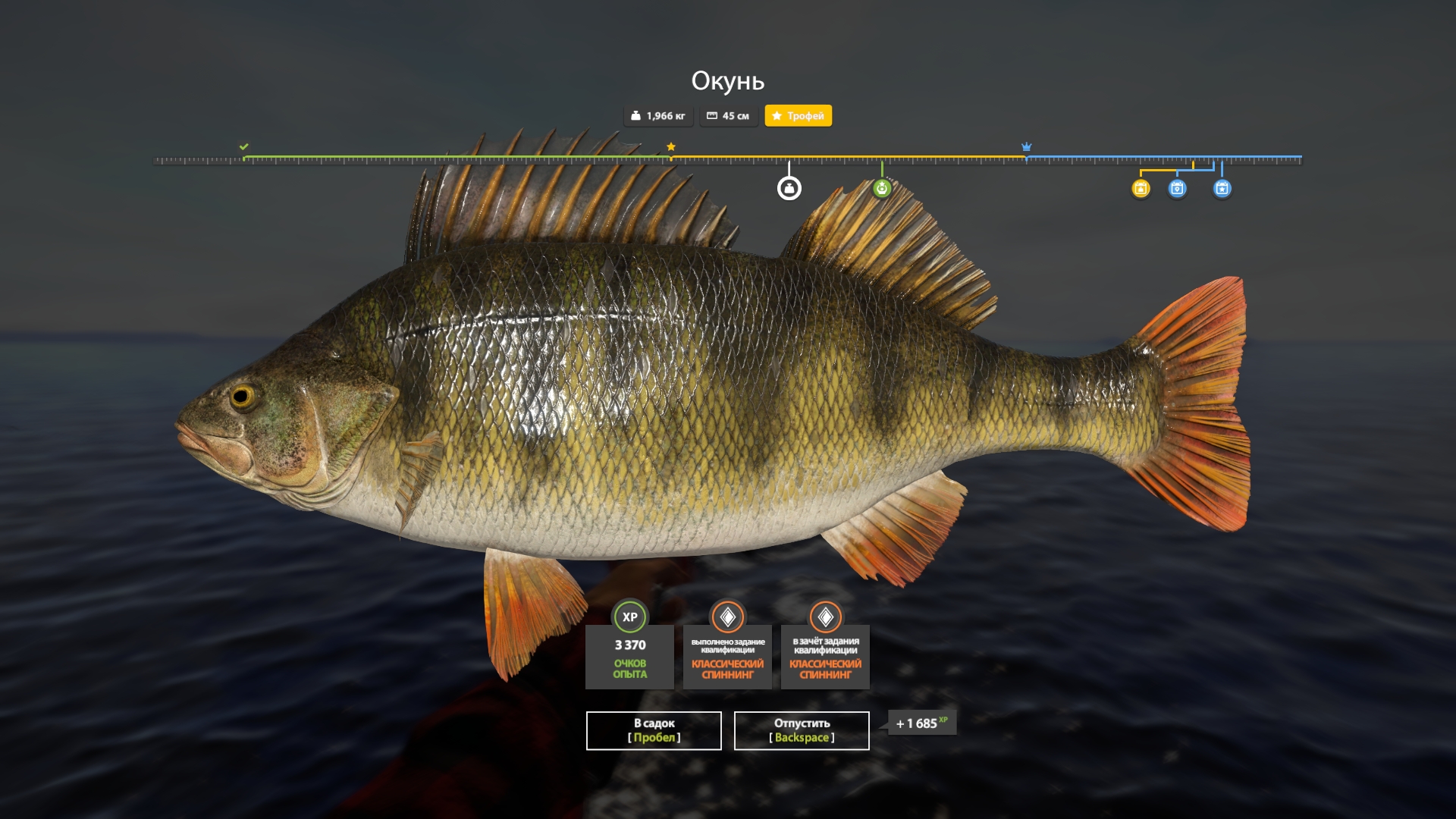 Trophy Ladoga archipelago