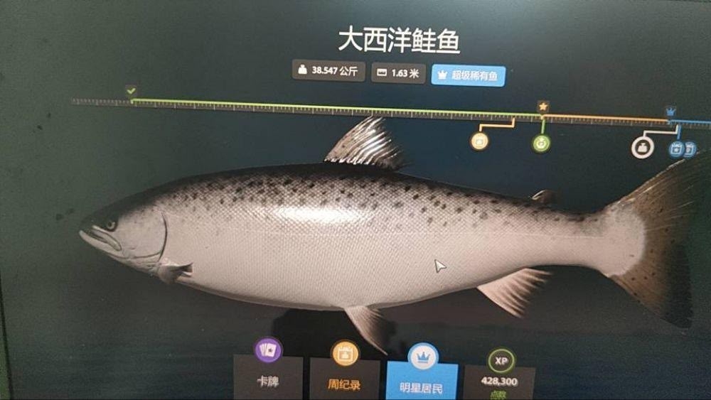 Trophy Ladoga archipelago