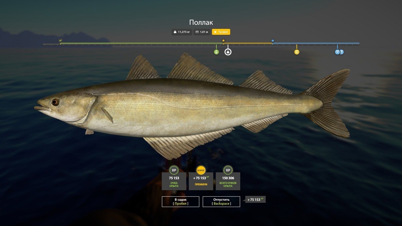 Trophy Norwegian Sea