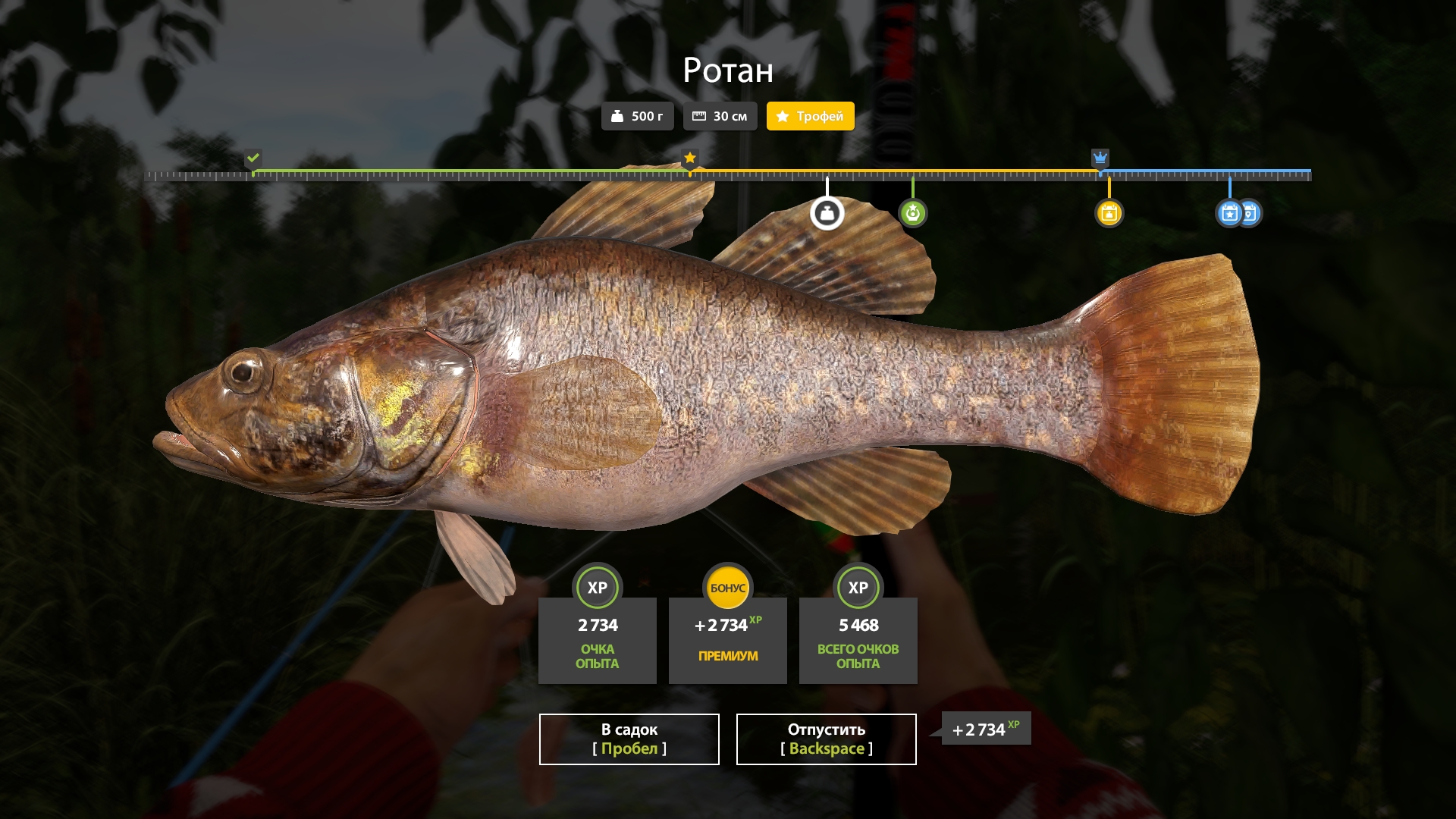 Trophy Mosquito Lake