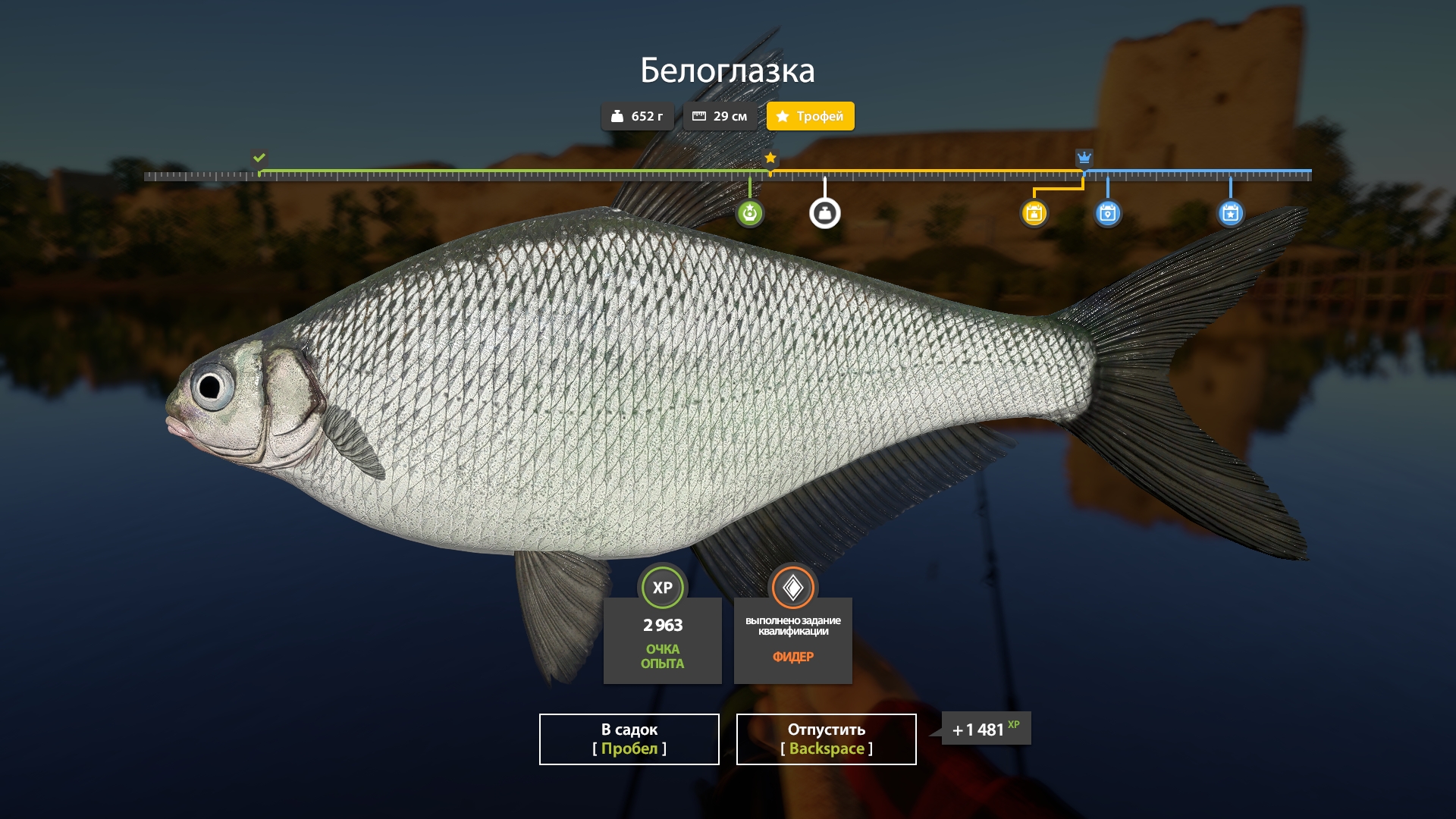 Trophy Volkhov River