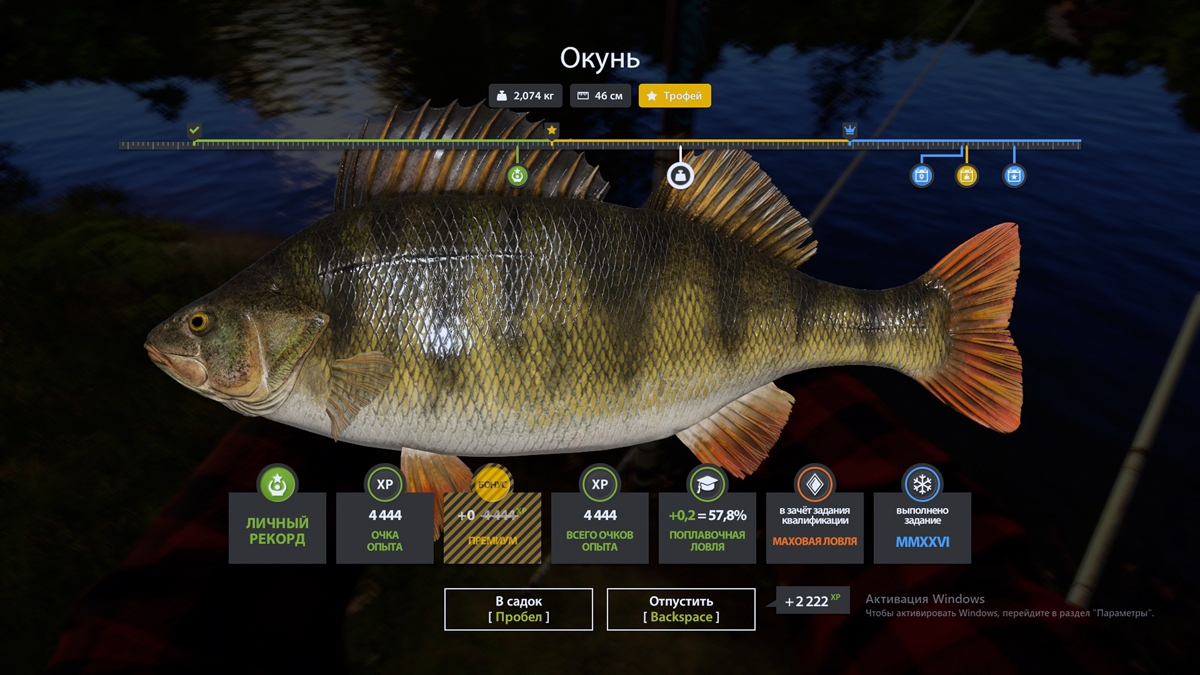 Trophy Mosquito Lake