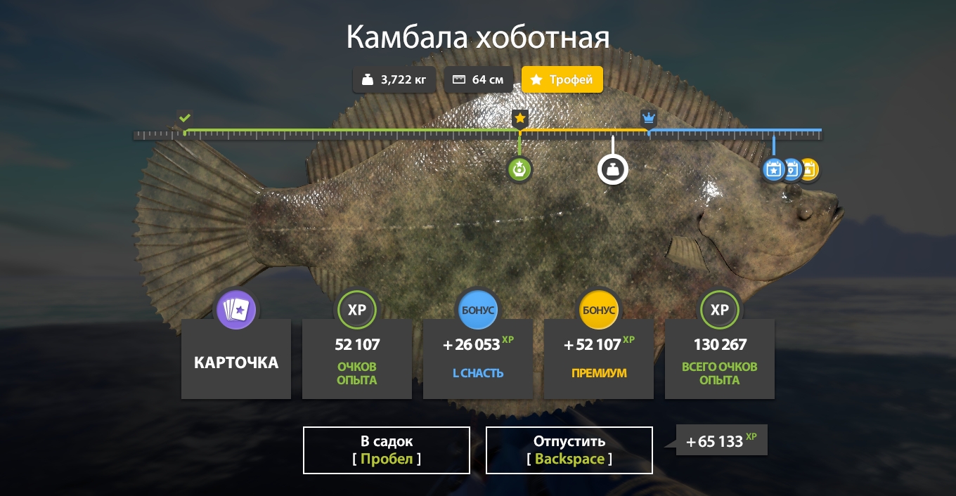 Trophy Norwegian Sea