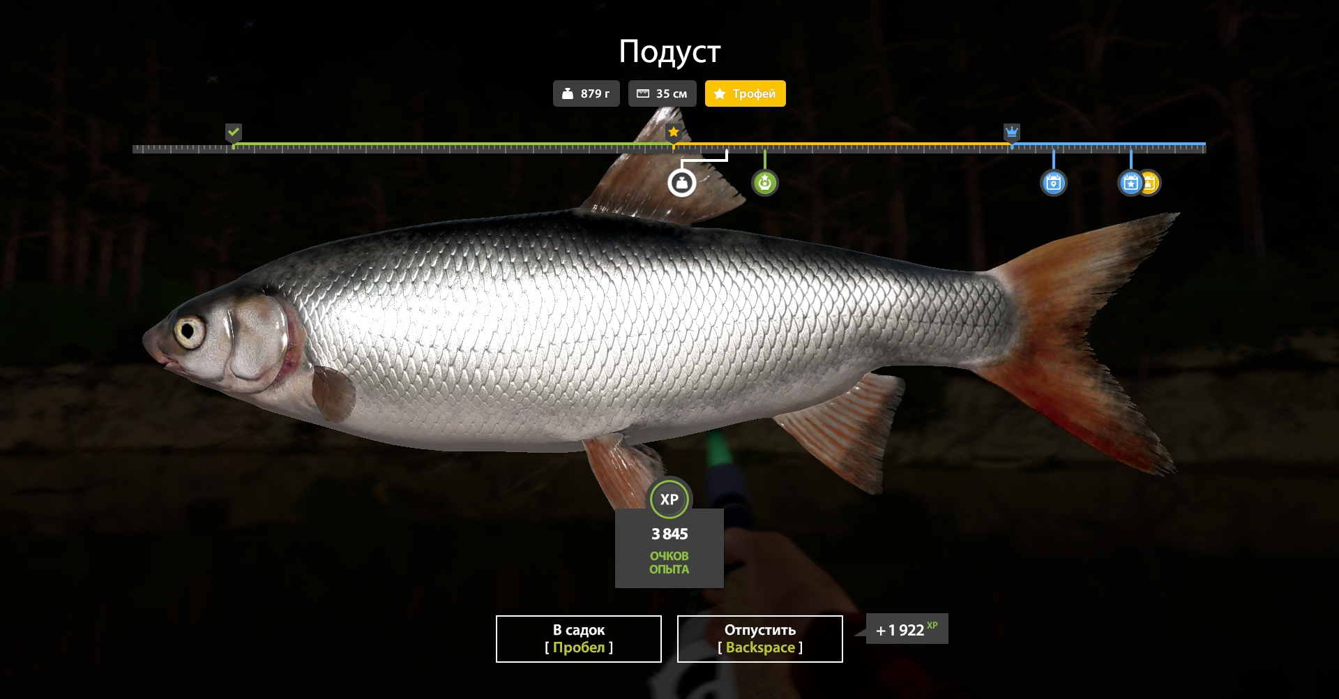 Trophy Winding Rivulet