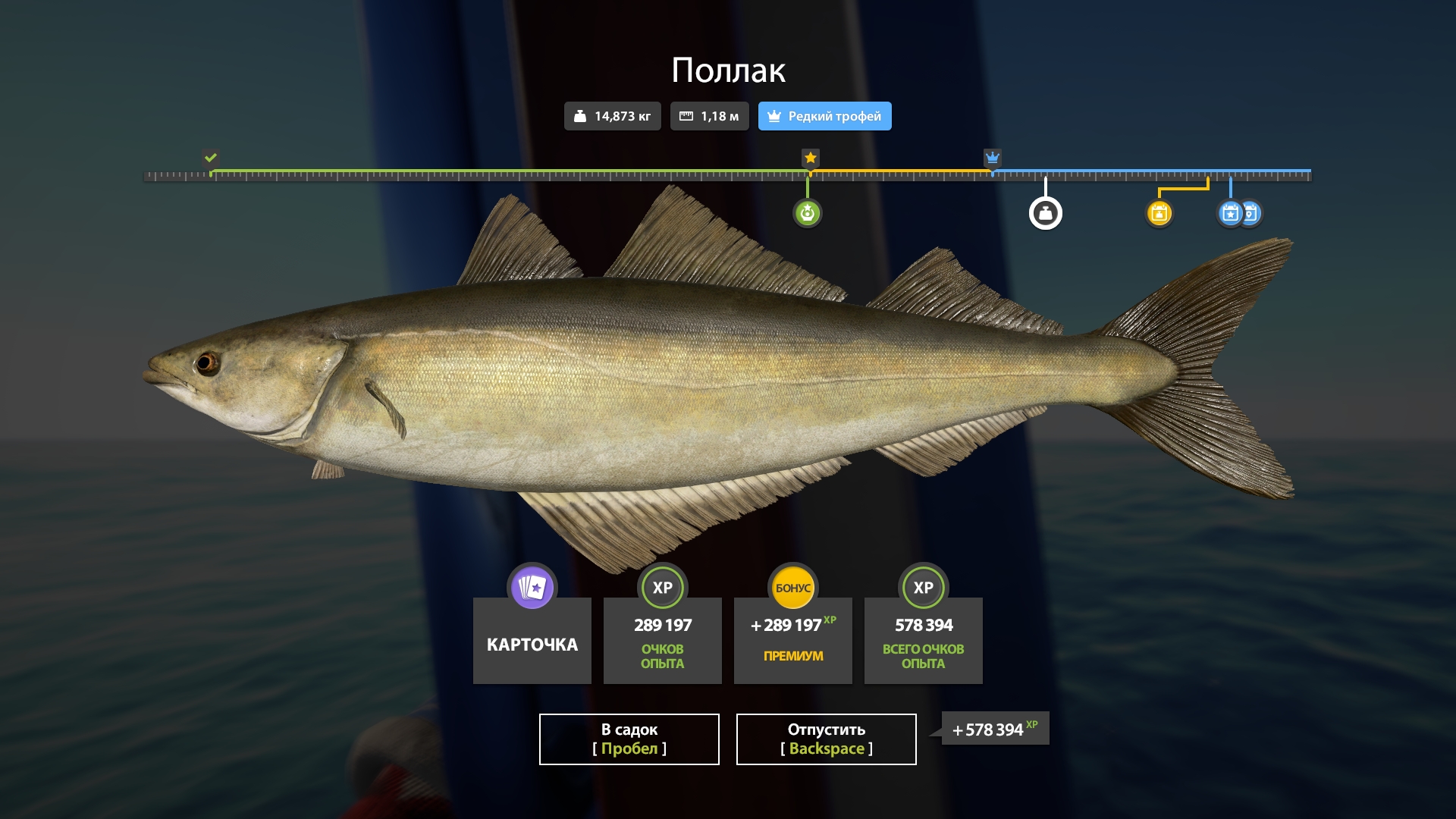 Trophy Norwegian Sea